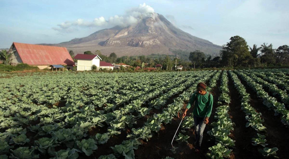 Indonezyjski wulkan Sinabung znów "dyszy". Ewakuowano tysiące osób