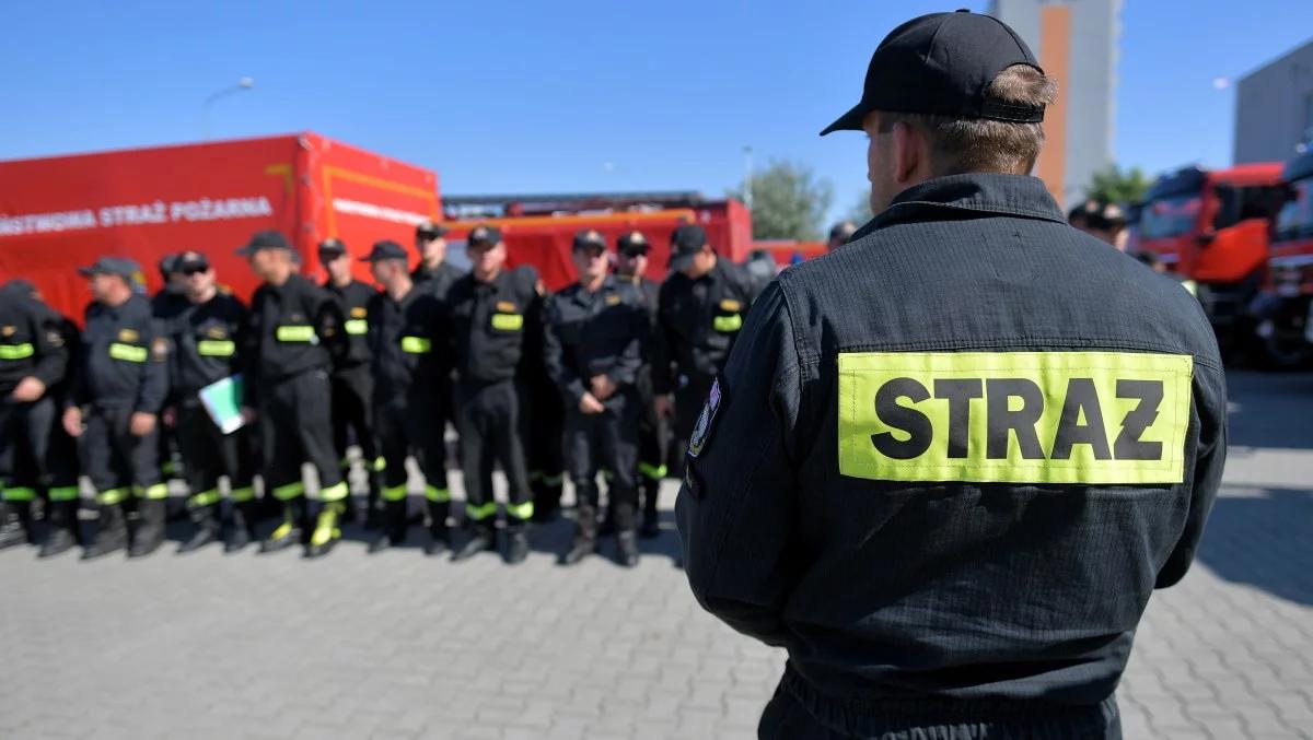 Pożary lasów w Szwecji. Polscy strażacy zaczynają działania