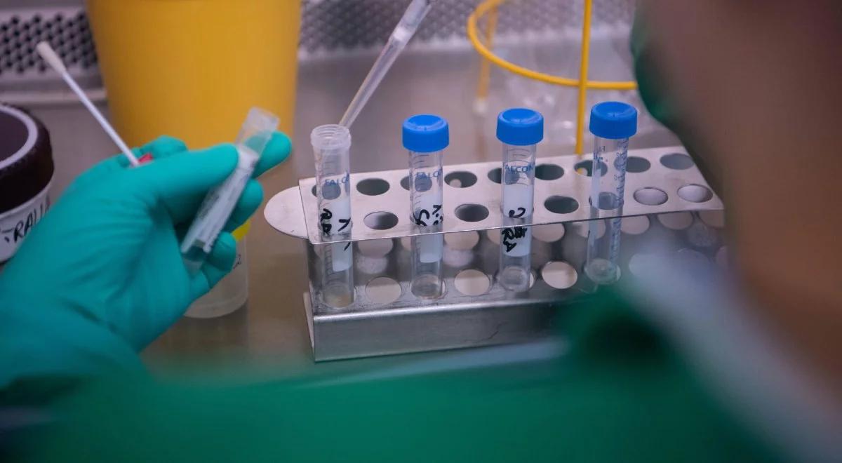 "Niedopuszczalne i godne potępienia". Diagności o sugestiach ukrywania zakażeń koronawirusa