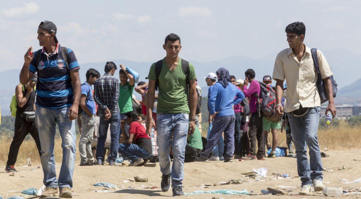 Adam Bielan: Niemcy chcą przebierać wśród migrantów, nie zgodzimy się na to