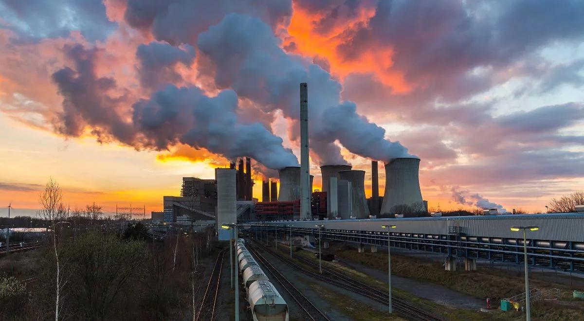 Firmy coraz więcej inwestują w OZE i chcą zmniejszyć swój ślad węglowy