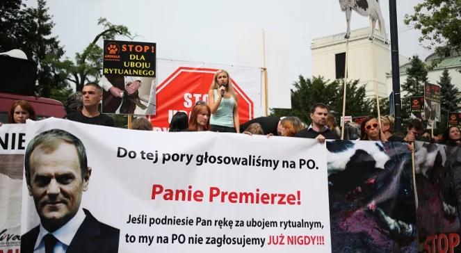 PO rezygnuje z dyscypliny ws. uboju rytualnego. "Każdy zagłosuje według własnego poglądu"