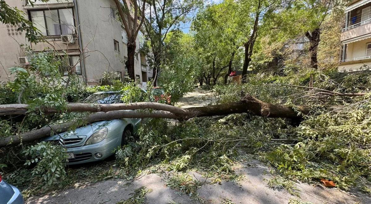Split. Potężna burza uderzyła w miasto. Są ranni