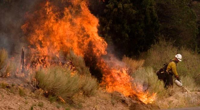 Pożary lasów w Arizonie. Zginęło co najmniej 19 strażaków