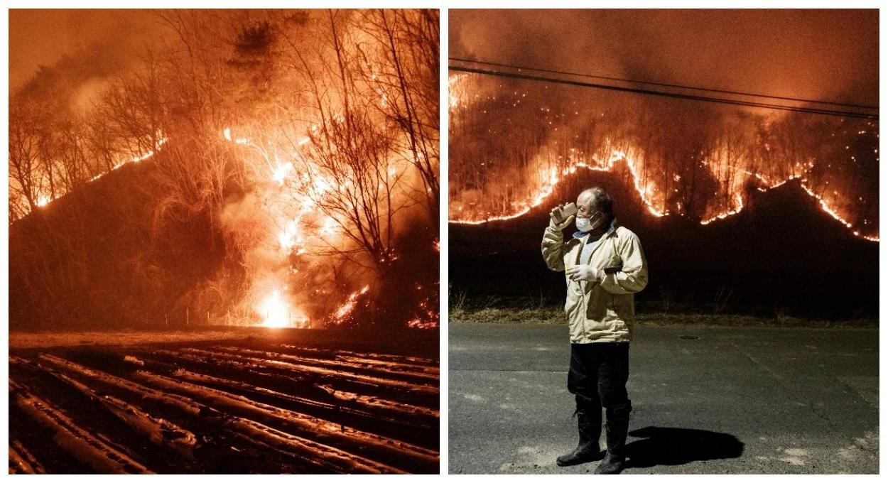 Pożary szaleją w Korei Płd. Giną strażacy, zarządzono ewakuację