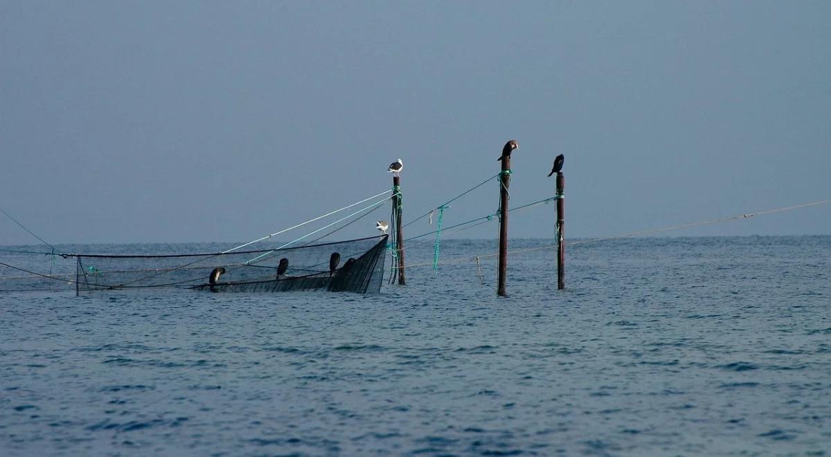 Dobre wieści dla polskich rybaków. Chodzi o połowy na Bałtyku