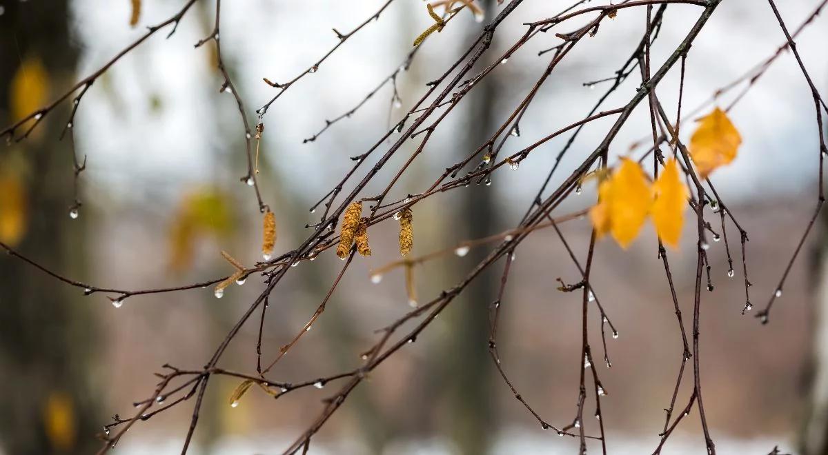 IMGW: powrót jesiennej aury. Prognoza pogody na cały tydzień