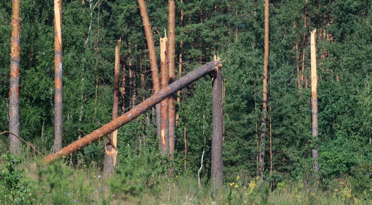 IMGW wydało ostrzeżenia hydrologiczne dla północnego wschodu i centrum