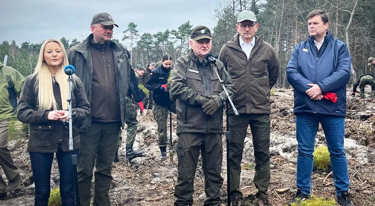 Polscy leśnicy rozpoczęli akcję sadzenia Lasów Pamięci Jana Pawła II. "To hołd dla jego świętości"