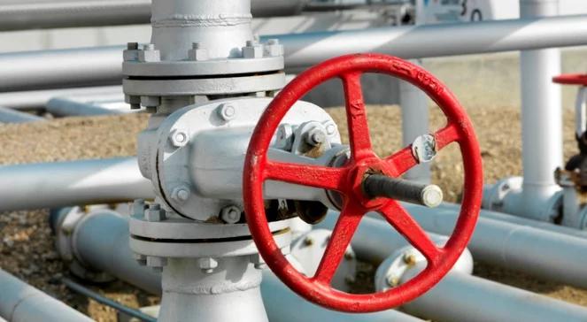 Rosja będzie zmniejszać dostawy gazu krajom, które biorą udział w rewersie?