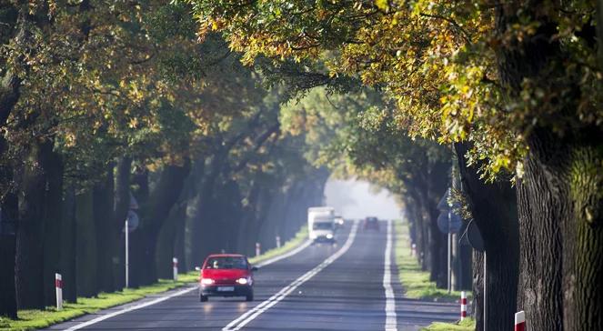 5 mld zł na drogi lokalne. "Takie inwestycje są potrzebne"