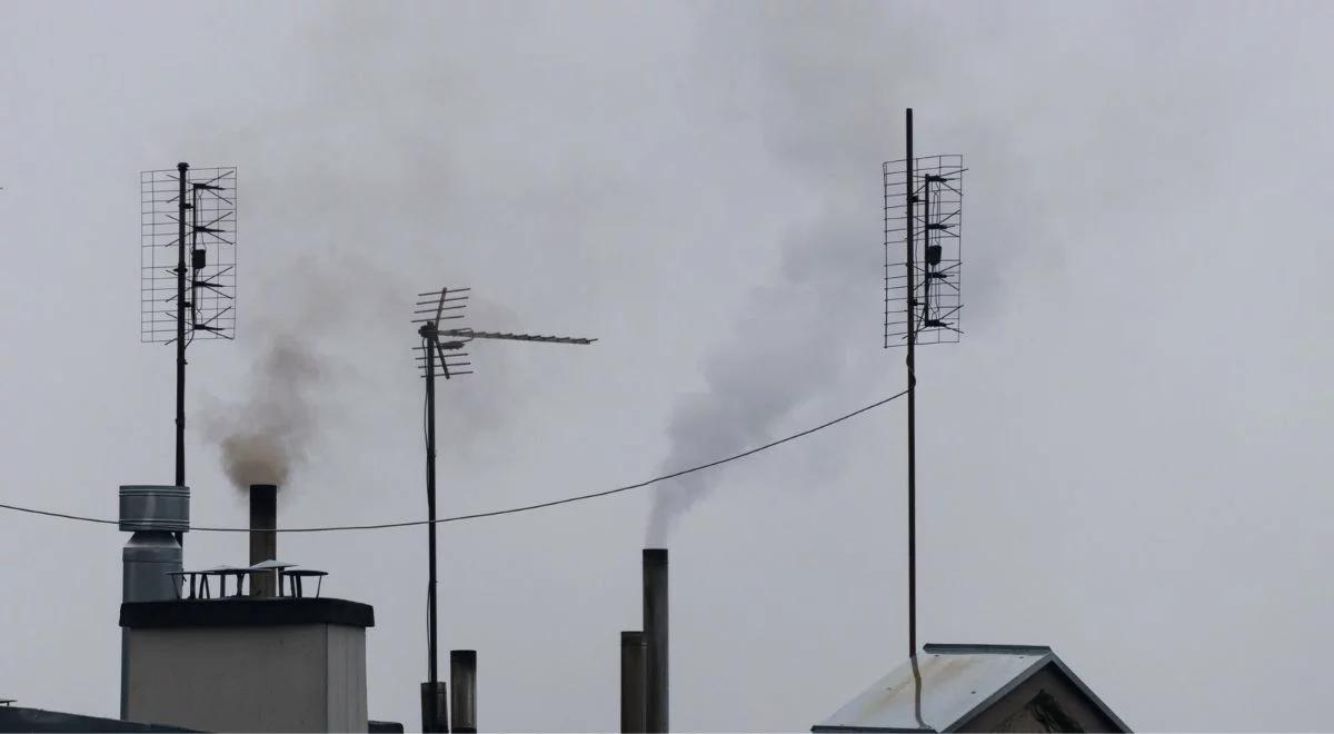 Polskie badania potwierdzają. Nawet krótka ekspozycja na smog grozi chorobą serca