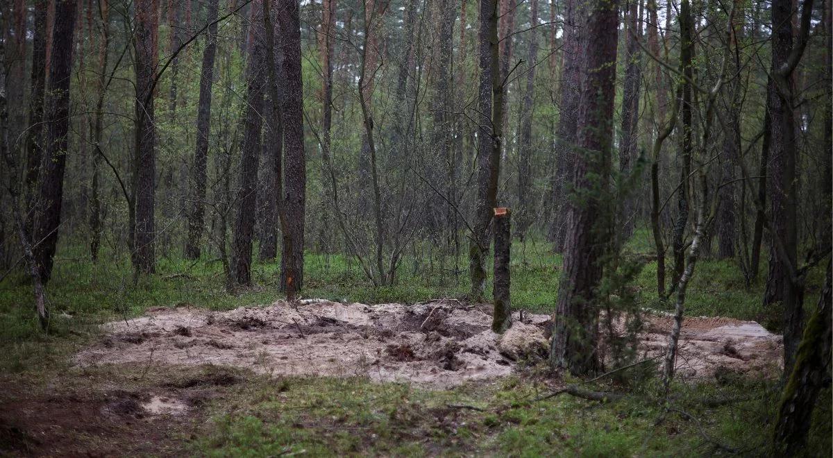 Znalezisko pod Bydgoszczą. Premier: biegli przystępują do weryfikacji, by sprawdzić każdy szczegół