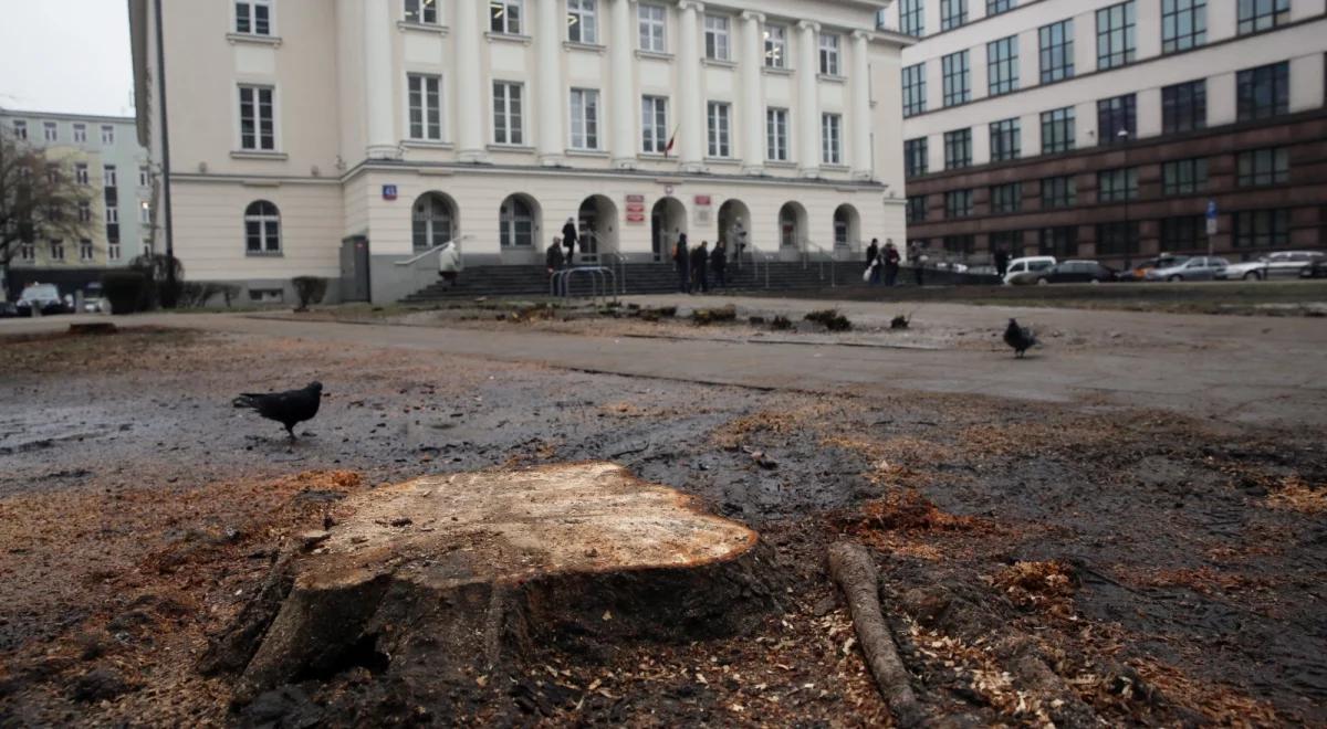 Rzecznik rządu o ustawie dot. wycinki drzew: poczekajmy przez moment jak ona funkcjonuje