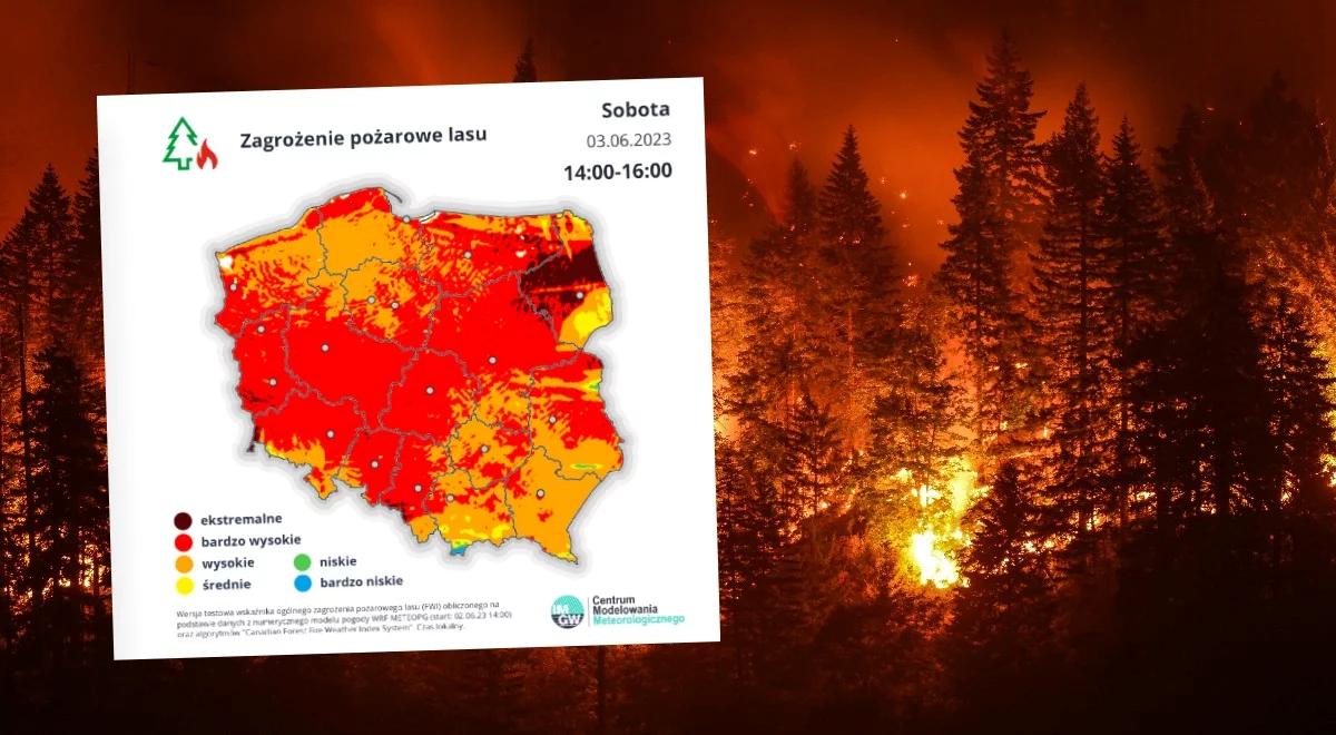 Uwaga! Ekstremalnie duże zagrożenie pożarowe w lasach