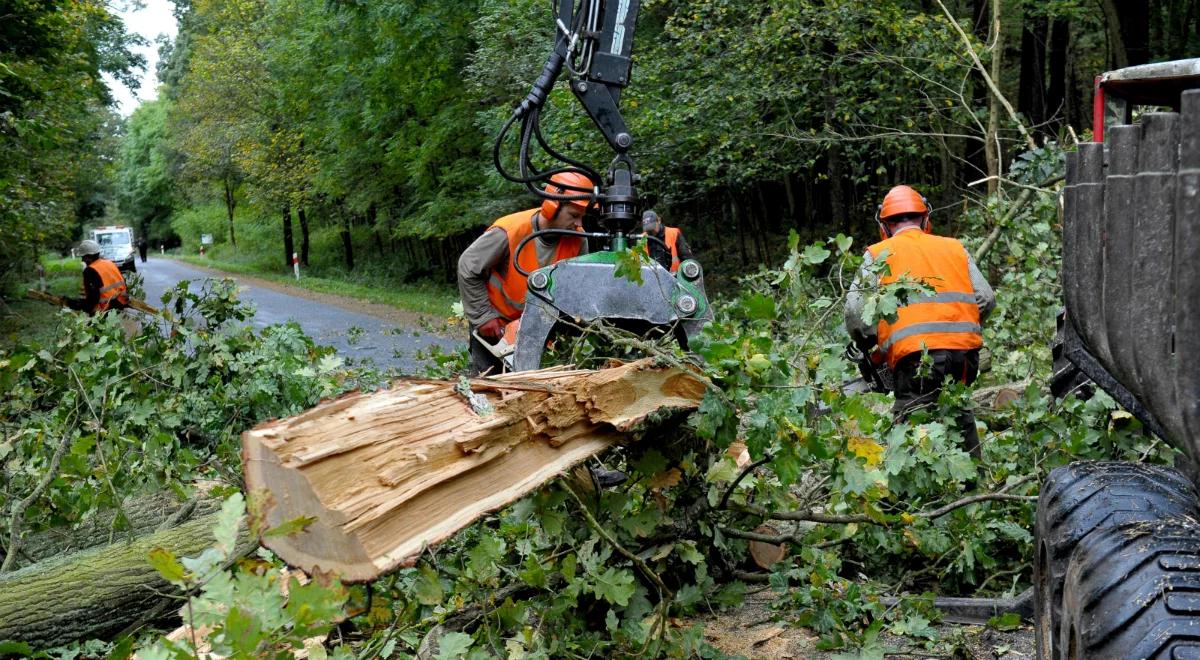 Wichury nad Polską. Nadal 38 tysięcy odbiorców bez prądu