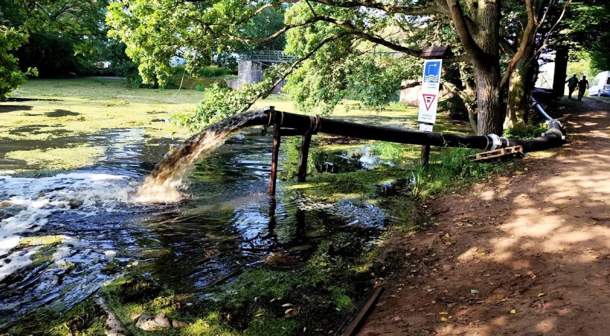 Mętny kolor i nieprzyjemny zapach. Wyłowiono 100 kg śniętych ryb