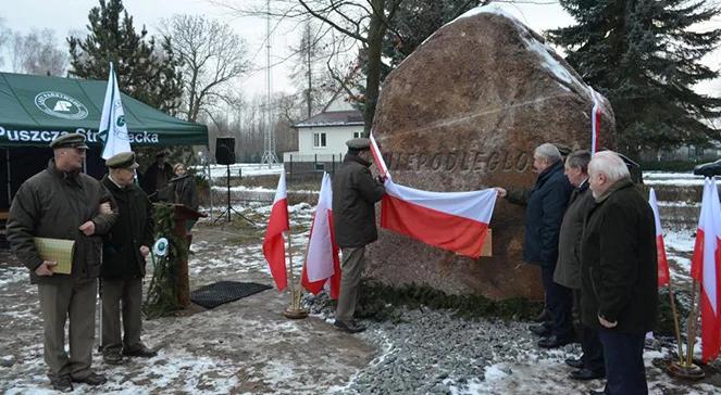 Gmina Dobieszyn i Lasy Puszczy Stromieckiej