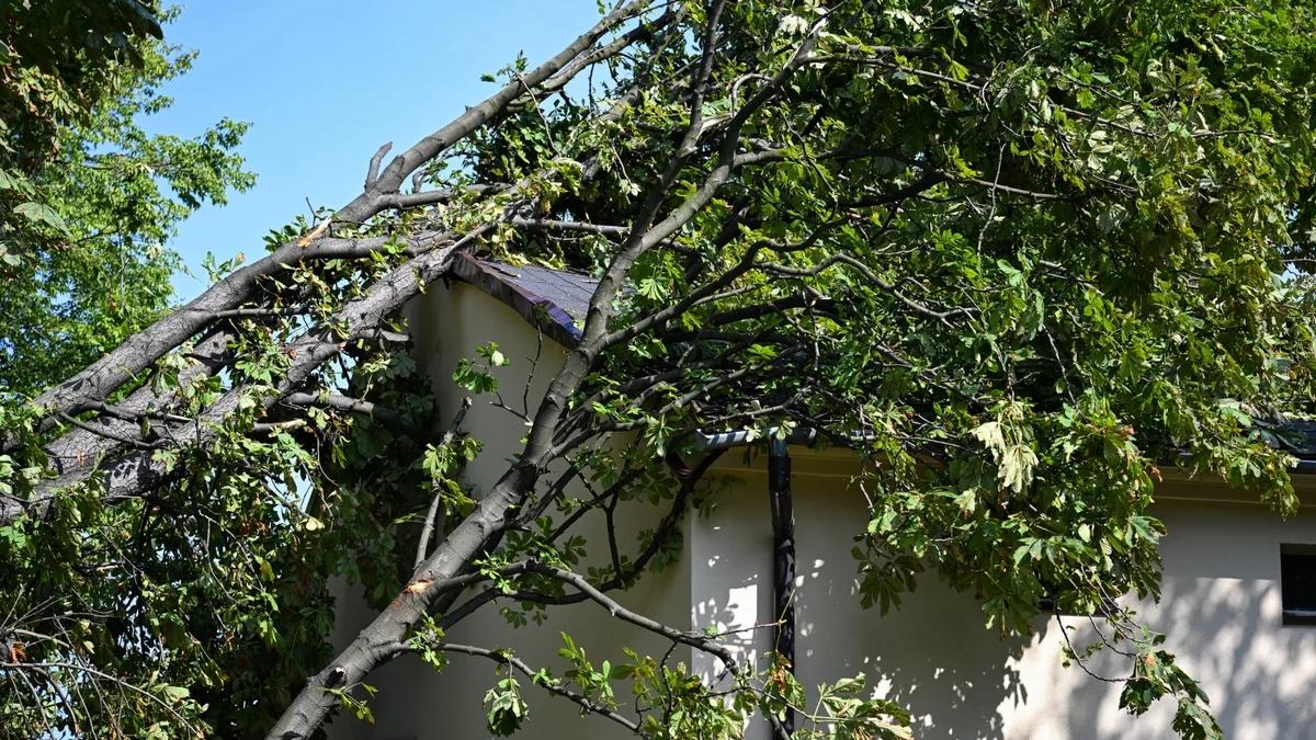 Małopolska po burzach. Do wieczora ma być przywrócone zasilanie