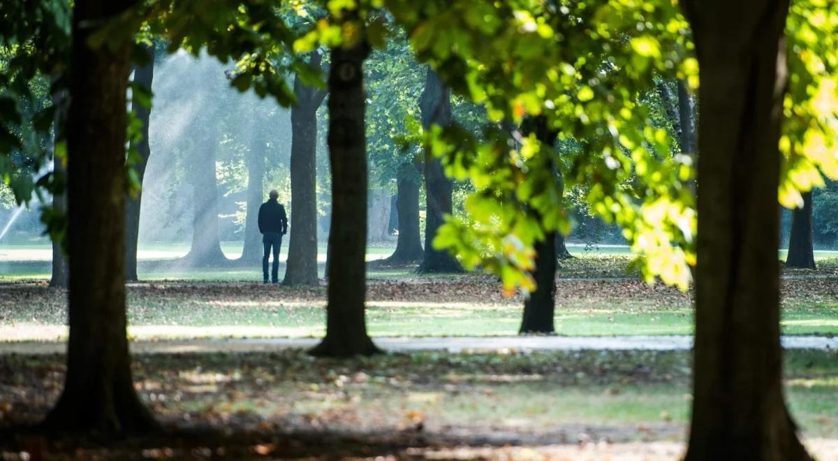 Prognoza pogody: poniedziałek słoneczny, ale dość chłodny