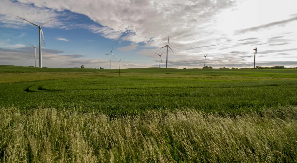 Transformacja energetyczna? Sachajko: to szaleństwo ekologiczne