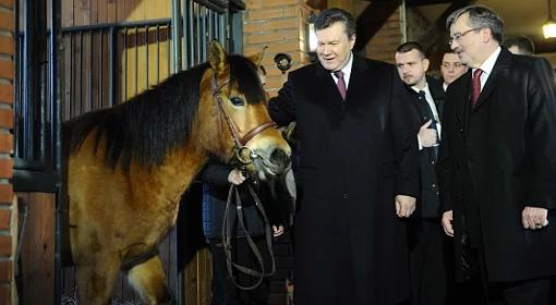 Bronisław Komorowski przekazał Wiktorowi Janukowyczowi... parę koni