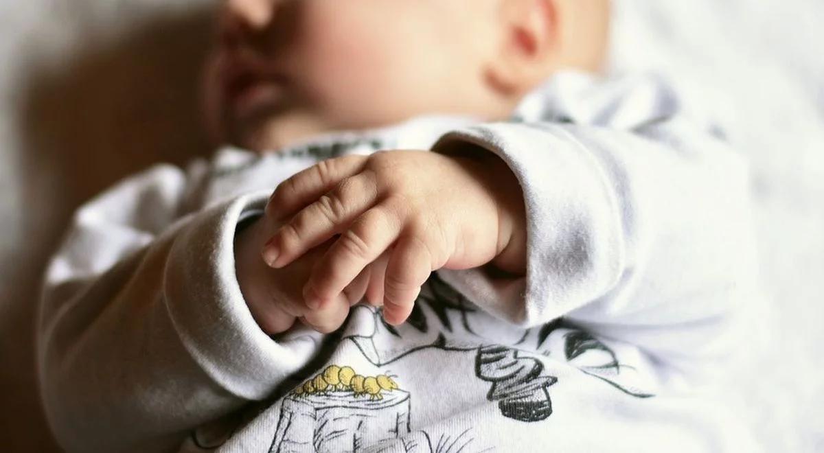 To jeszcze nie baby boom, choć od dwóch lat rodzi się więcej dzieci