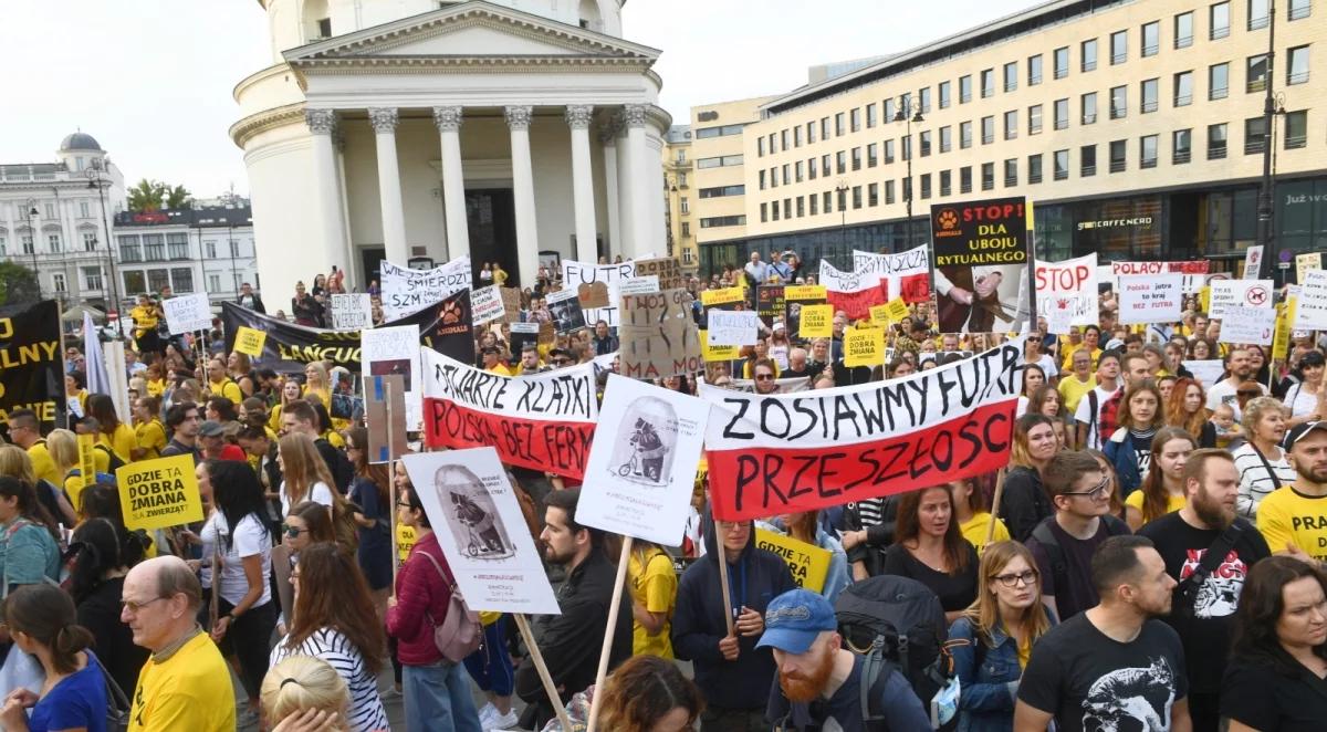 Protest organizacji prozwierzęcych. "Temat ochrony zwierząt jest tylko kwestią serca"