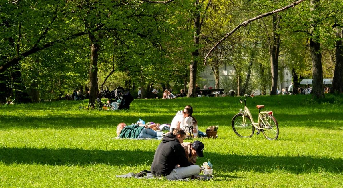 Pogoda: słoneczny poniedziałek. W nocy możliwe lokalne przymrozki