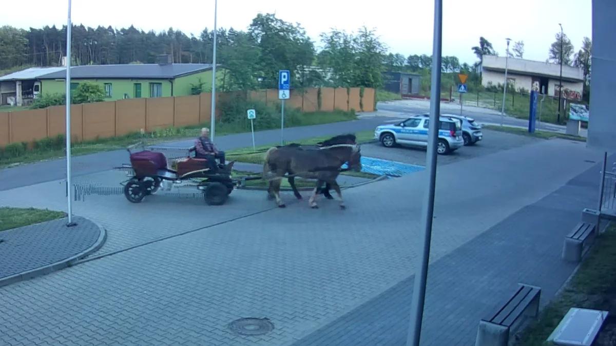 Pijany woźnica. Konie skręciły na policyjny parking