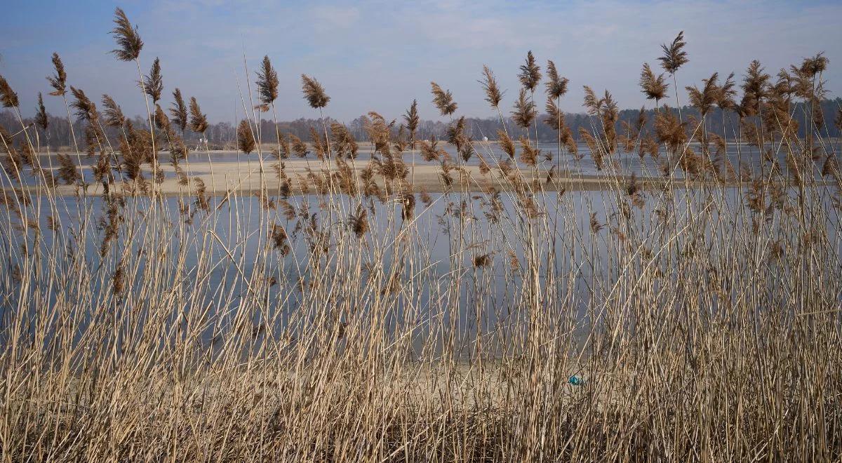 Dziś początek meteorologicznej wiosny. Pierwsza połowa marca będzie jednak chłodna