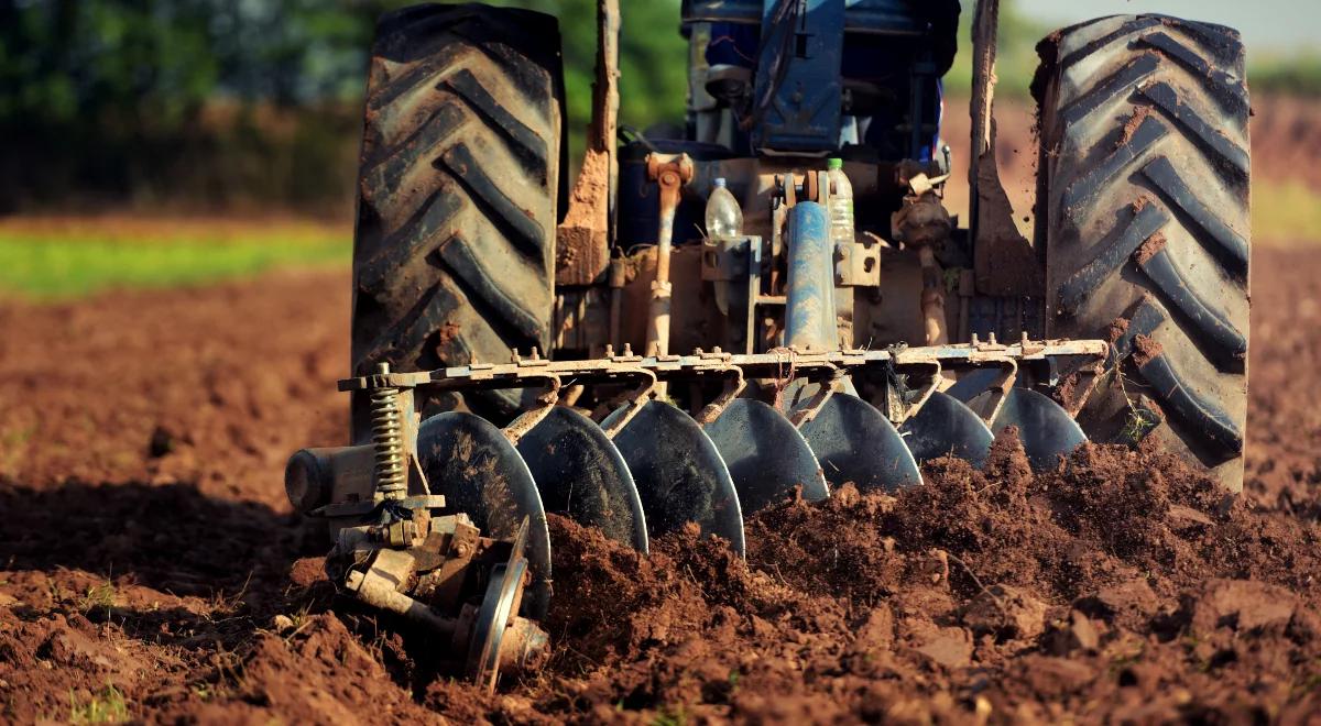 "Liczą się klasa gruntów i produkcyjny potencjał". Zobacz, ile kosztuje dzierżawa ziemi