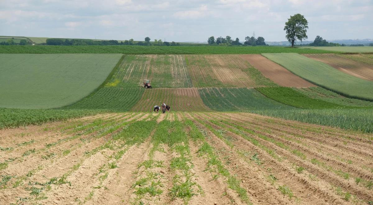 Susze kosztują Polskę miliardy złotych rocznie. PIE: postępujące zmiany klimatu zwiększają straty