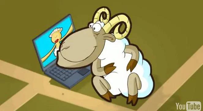 Baca, gajowy i owce przestrzegają internautów