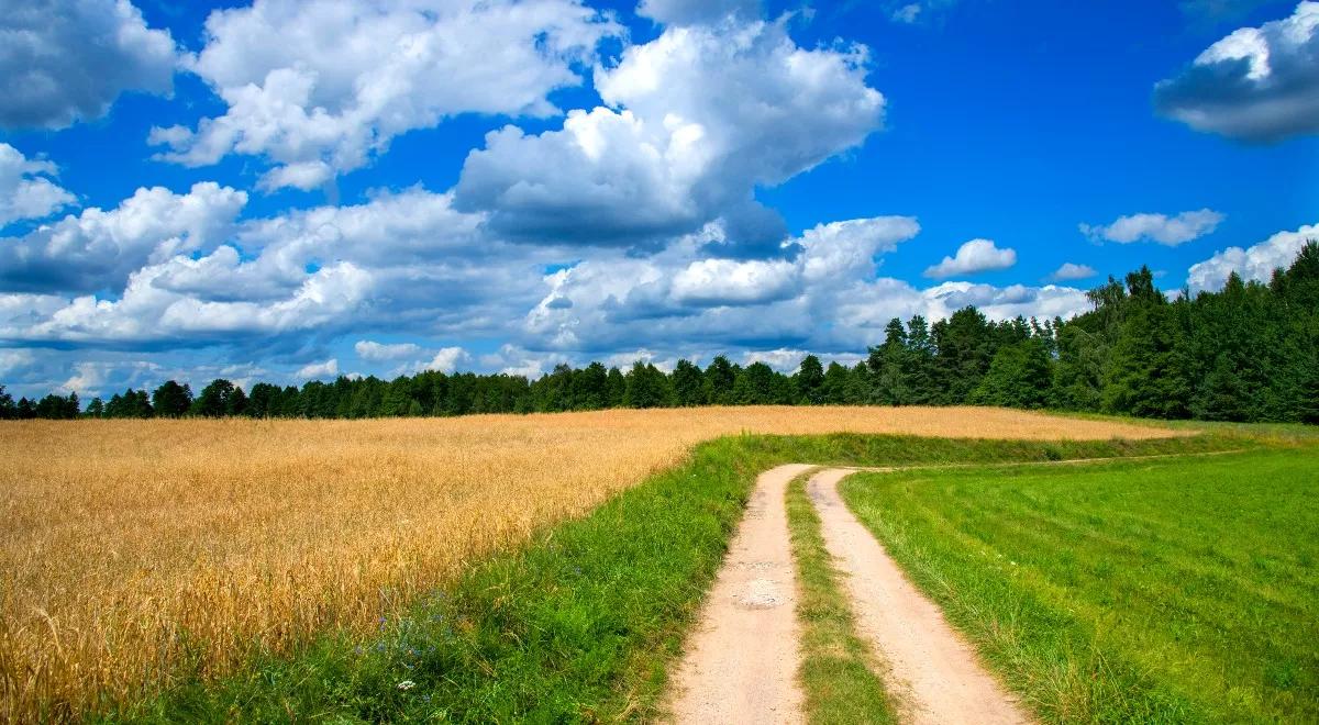 Środowe popołudnie pogodne. Lokalnie możliwe burze i silny wiatr