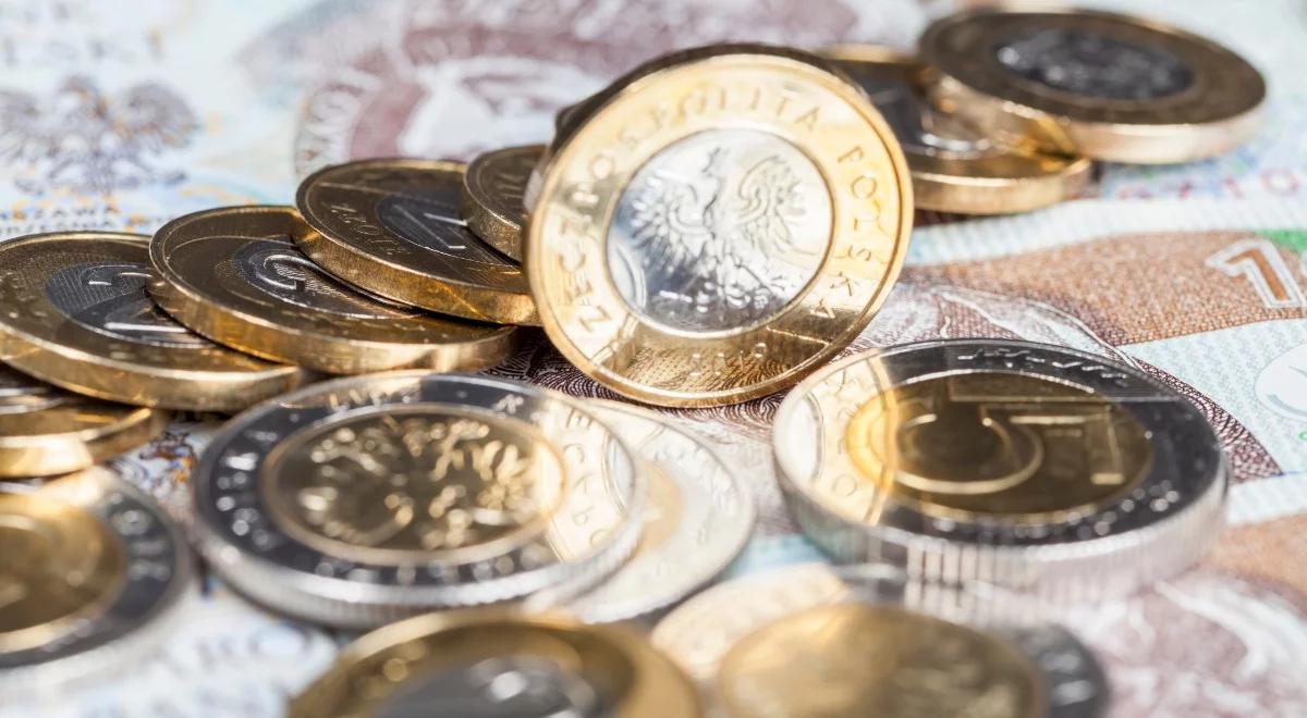 Ekspertka: gotówka jest potrzebna, cyfrowy pieniądz nie wyprze jej zupełnie