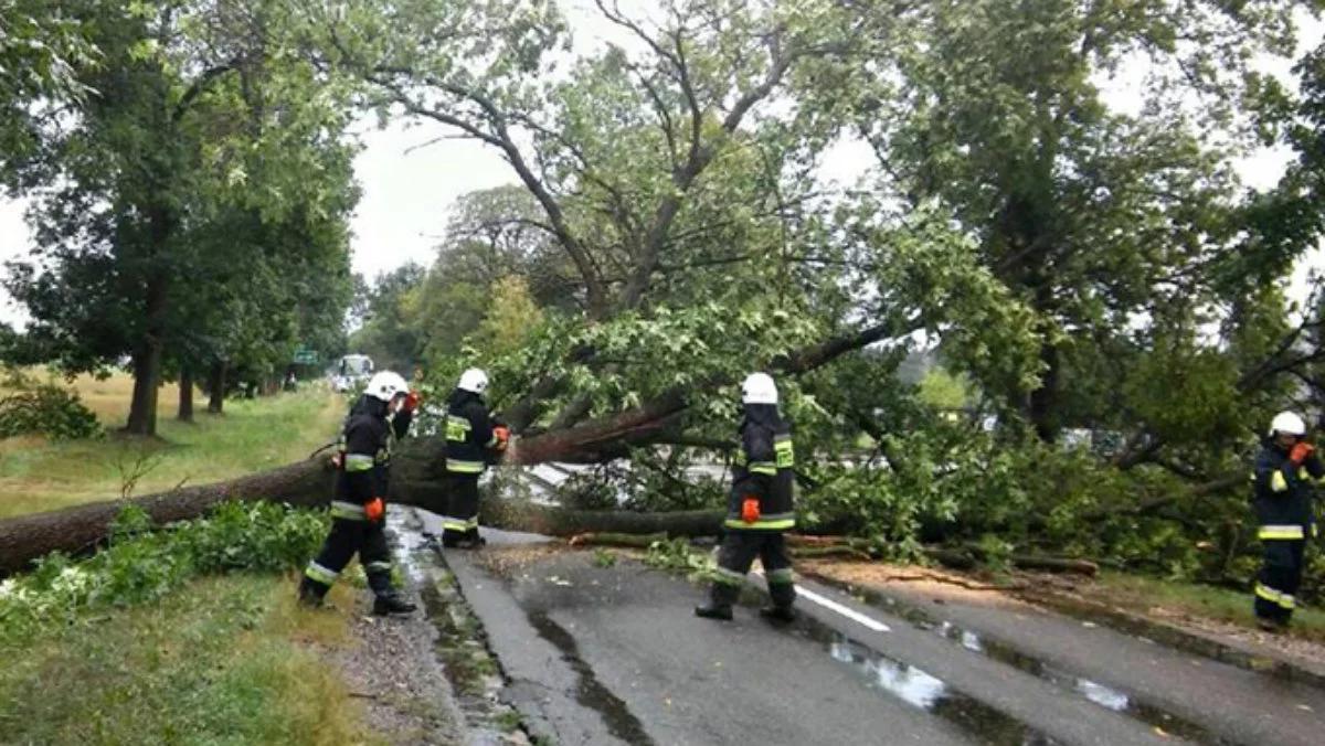 Groźne wichury nad Polską. Ludzie bez prądu, setki zgłoszeń o uszkodzeniach