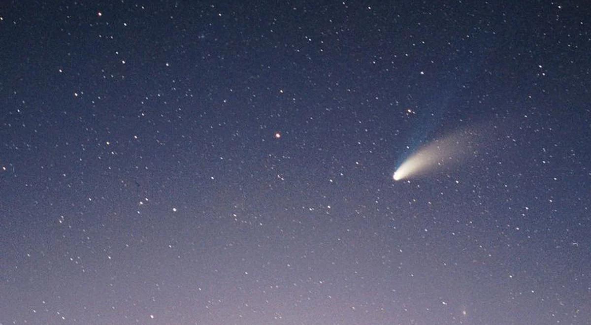 Polscy miłośnicy astronomii odkryli nową kometę w Układzie Słonecznym