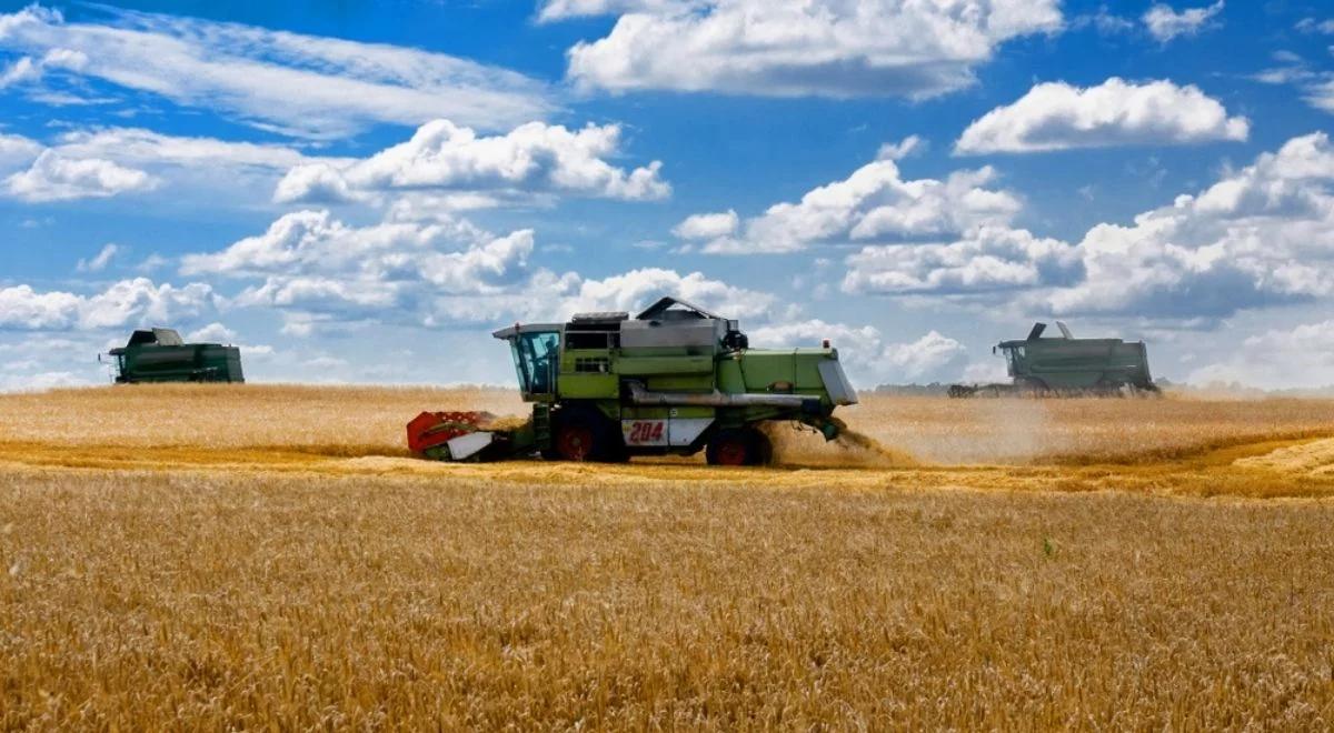 Rząd chce powrotu ceł na zboże spoza UE. Wicepremier Kowalczyk: działamy w tej sprawie w koalicji państw