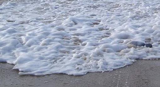 Portugalia: drażniące mikroalgi na plażach