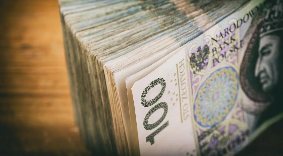 Złoty pod presją, ale stabilny