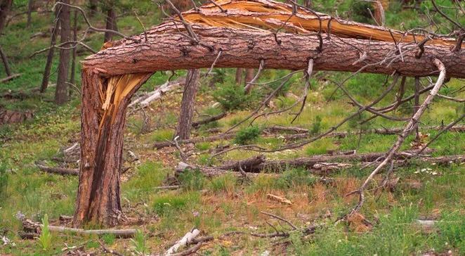 Wichury nad Polską. Ponad 1100 interwencji straży pożarnej. Kilka tysięcy odbiorców nadal bez prądu