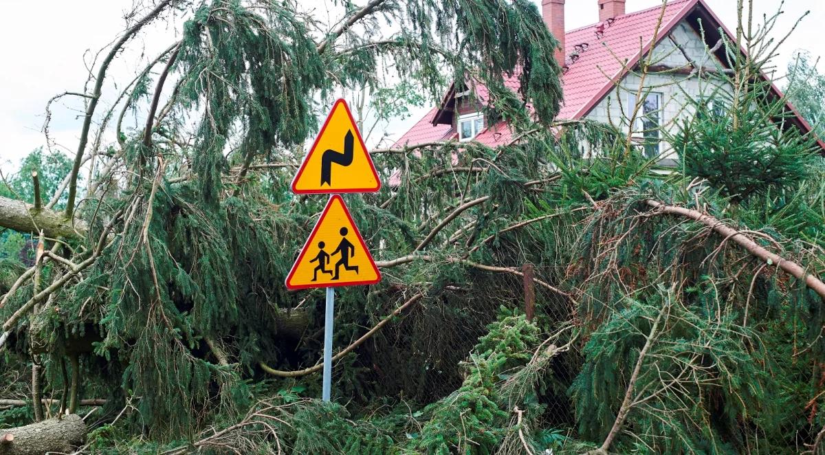 Wielkopolskie: wojewoda wystąpił o 12 mln zł na pomoc po nawałnicach 