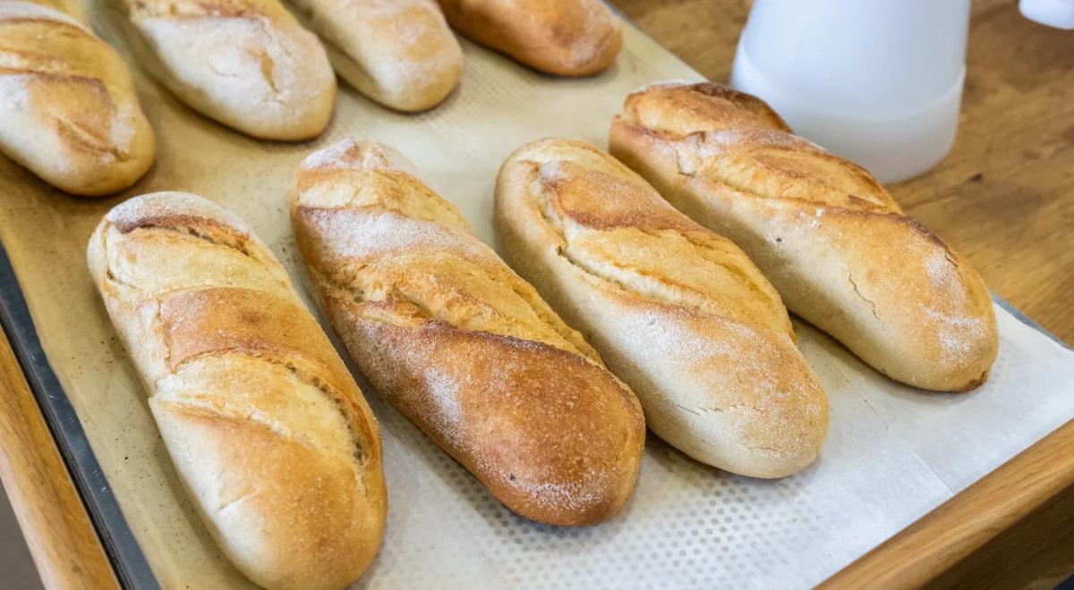 Świeże i chrupkie pieczywo przez cały czas? Polscy naukowcy już nad tym pracują