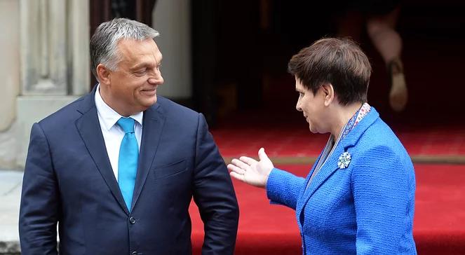 „Orban jest przede wszystkim premierem Węgier, a dopiero później przyjacielem Warszawy”