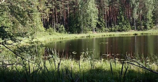 Agroturystyka: Bory Tucholskie mają się czym pochwalić