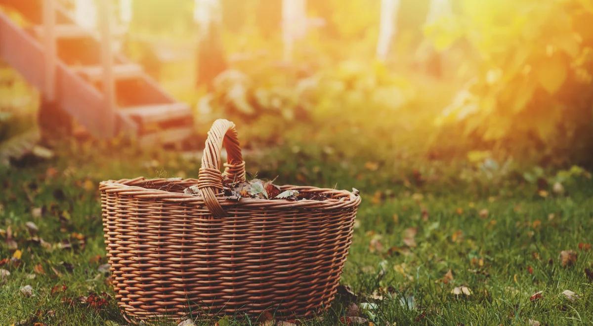Prognoza pogody: powracają ciepłe dni. Dziś temperatura przekroczy 20 st. C
