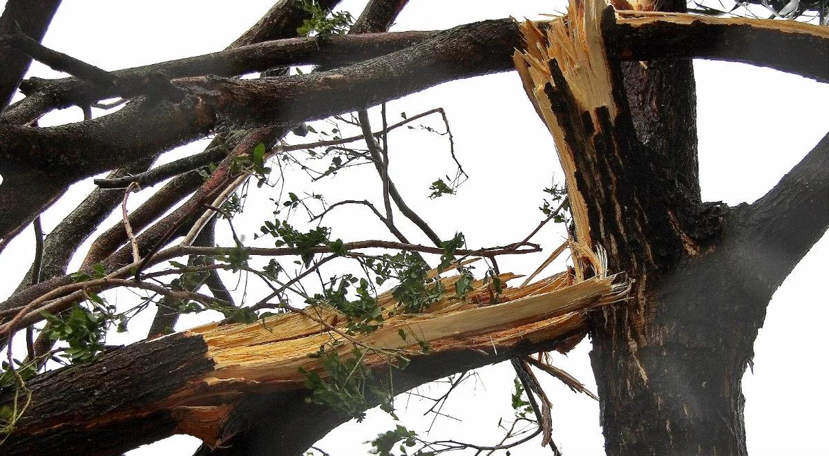 Groźne wichury nad Polską. Zerwane dachy i linie energetyczne