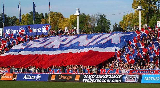 Ekstraklasa: kibice Górnika mogą kupić akcje klubu