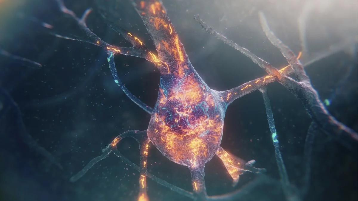 Popularny napój antidotum na Alzheimera? Nowe odkrycie